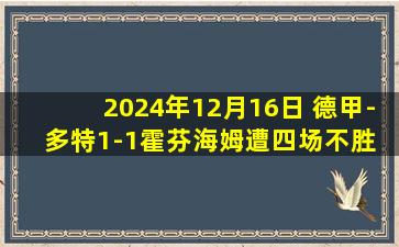 2024年12月16日 德甲-多特1-1霍芬海姆遭四场不胜 雷纳破门拉尔森绝平